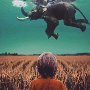 Meet your Posher, Randy